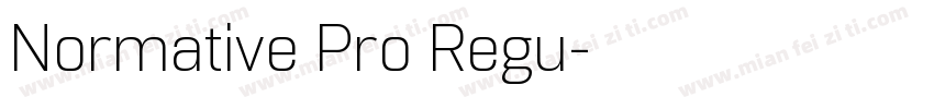 Normative Pro Regu字体转换